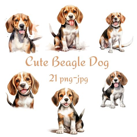 21 Cute Beagle Dog Clipart, Baby Beagle Dog Clipart, Watercolor Cute Beagle Dog Clipart