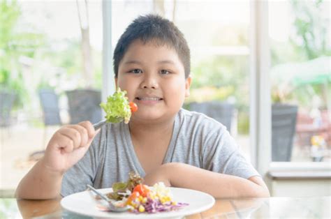Fotos De Criança Gorda - Criança Gorda Banco de Imagens e Fotos de Stock - iStock