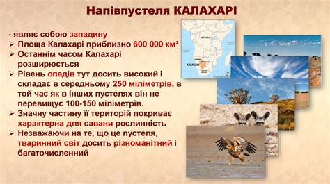 Африка. Природні зони: пустелі та напівпустелі, вічнозелені твердолисті ...