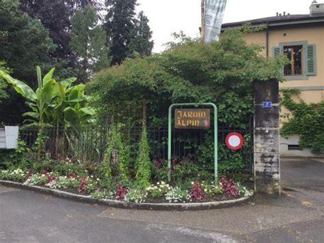 Meyrin Fotos - Meyrin, Genf Reisefotos - Tripadvisor