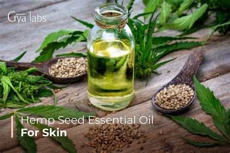 Benefits Of Hemp Seed Oil For Your Skin