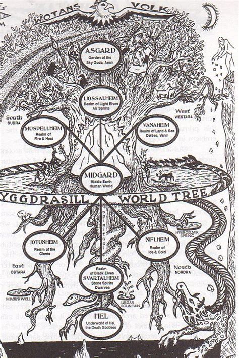 Yggdrasil world tree In Norse mythology Yggdrasil ˈɪɡdrəsɪl