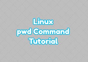 Linux Pwd Command Tutorial Linuxtect