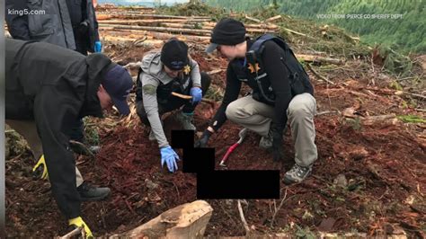 Human remains found on remote logging site near Mount Rainier National ...