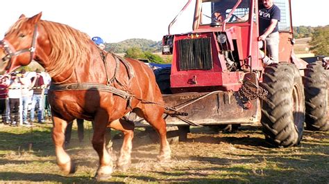 Cai De Trac Iune Proba Special I Tombola T Rgu L Pu Maramure