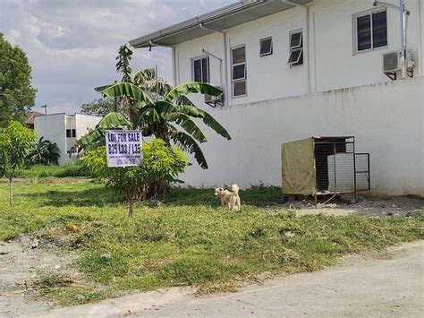 150 Sqm Residential Lot For Sale In Bacoor Cavite Lots September