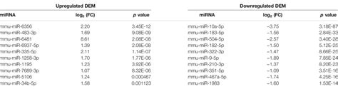 Frontiers Putative Microrna Mrna Networks Upon Mdfi Overexpression In