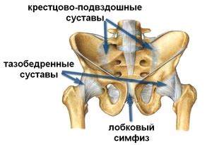 От чего и причины боли тазобедренного суставы у женщин, лечение и ...