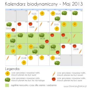 Kalendarz biodynamiczny nie tylko na marzec 2015 Słoneczny Balkon