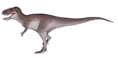 Daspletosaurus Horneri By Kingrexy On Deviantart