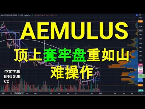 AEMULUS 中英文字幕 ENG SUB CC YT会员问股福利 早时观股技术分析 29122022 YouTube