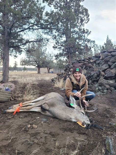 Frogs Change Sex Even In Natural Settings The Wildlife Society