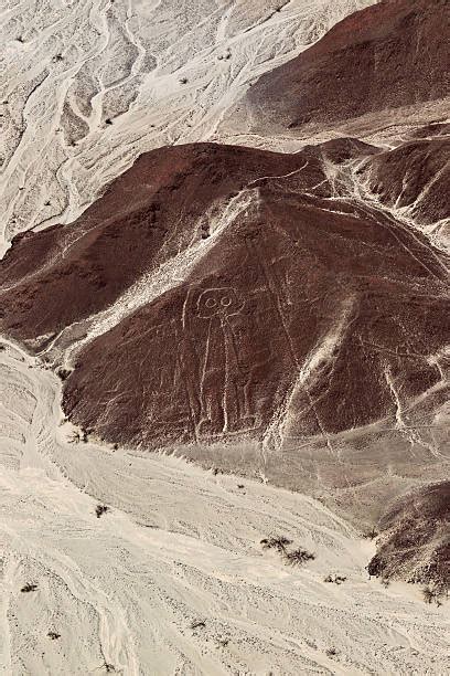 10 Vista Aérea De Líneas De Nazca Astronauta Geoglifo Perú Fotografías