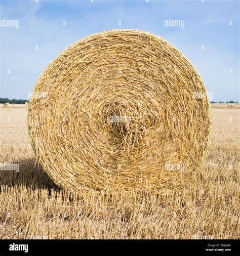 Big Bale Hi Res Stock Photography And Images Alamy