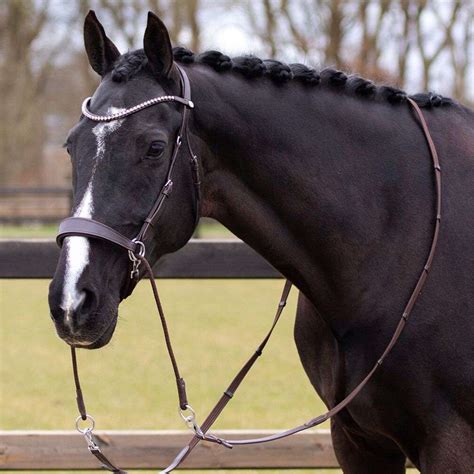 Qhp Sunna Bling Bitless Bridle Equine Outfitters Llc