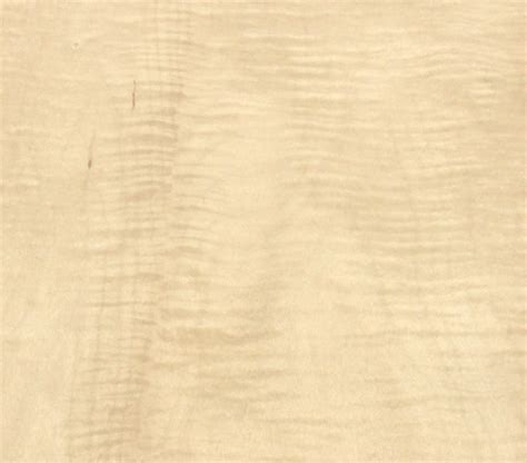 Maple Curly Figured Wood Veneer AA Grade - JSO Wood Products