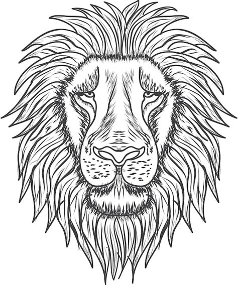 Tête de lion avec dessin vectoriel caressé à la main résumé premium