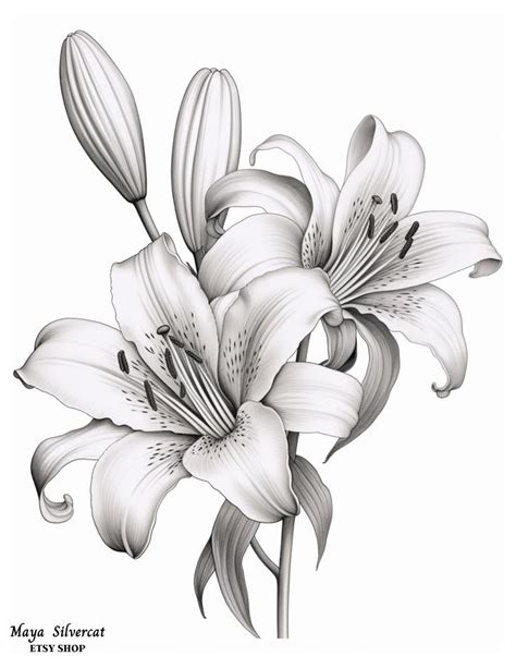 A Black And White Drawing Of Some Flowers