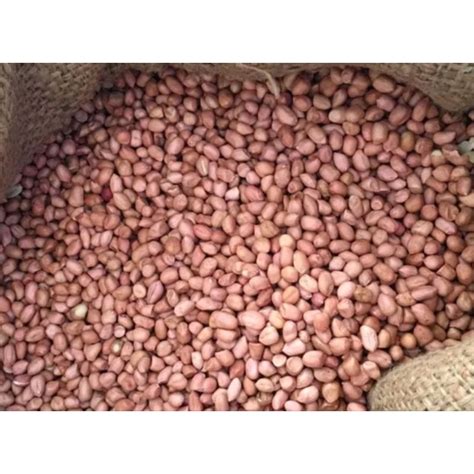 Kacang Tanah Super 1 Kg Kacang Tanah Mentah Besar Kecil Sedang Berat 1