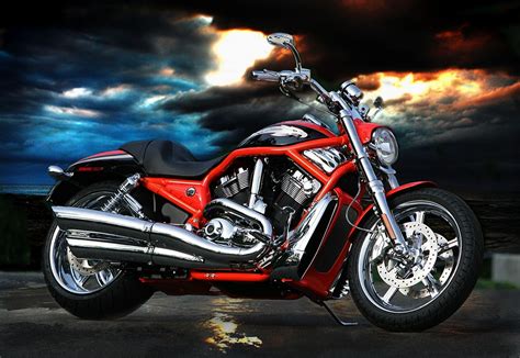 Harley Davidson - Harley-Davidson Photo (10642746) - Fanpop