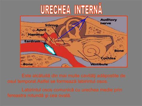 Ppt Urechea Powerpoint Presentation Id4545911