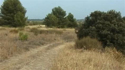 Amatrice Prise En Dp Porn Videos