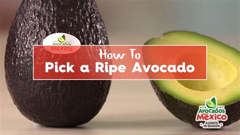 How To Tell If An Avocado Is Ripe Avocados From Mexico YouTube