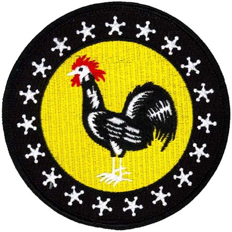19th Fighter Squadron Heritage Flightline Insignia