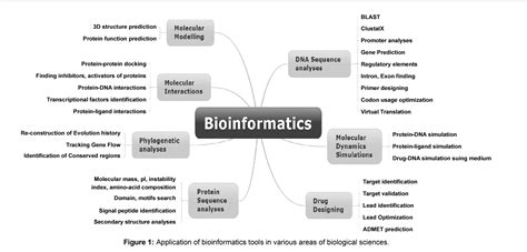 Figure 1 From Use Of Bioinformatics Tools In Different Spheres Of Life