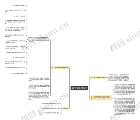 孕妇手臂摔伤筋啥办思维导图编号p8623499 Treemind树图