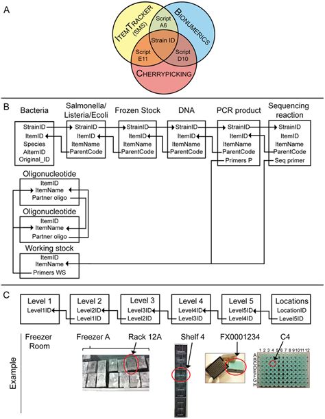 General Overview Of The Lims A Overlap Between Three Database Download Scientific Diagram