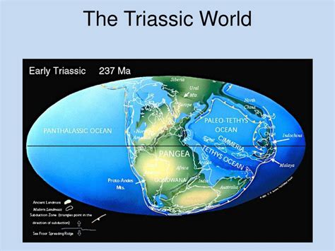 Ppt The Mesozoic Era Powerpoint Presentation Free Download Id2366664