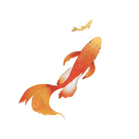 Goldfish Hd Transparent Element Goldfish Koi Fish Cartoon Element