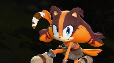 Sonic Boom New Characters Sticks