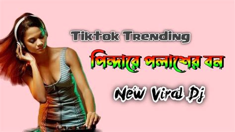 পিন্দারে পলাশের বন Tiktok Dj New Tiktok Viral Dj Pindare Polasher