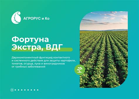 Фортуна экстра | prezentacia.ru