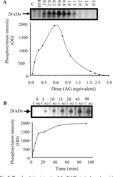 Figure 7 From The Eyestalk Androgenic Gland Testis Endocrine Axis In