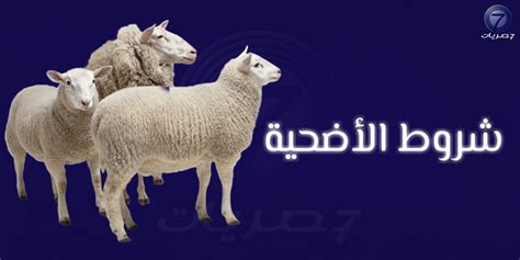 شروط الأضحية في عيد الأضحى المبارك وطريقة الذبح الصحيحة حصريات