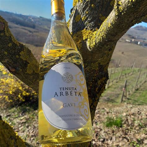 Gavi wine: an export success story older than the United States