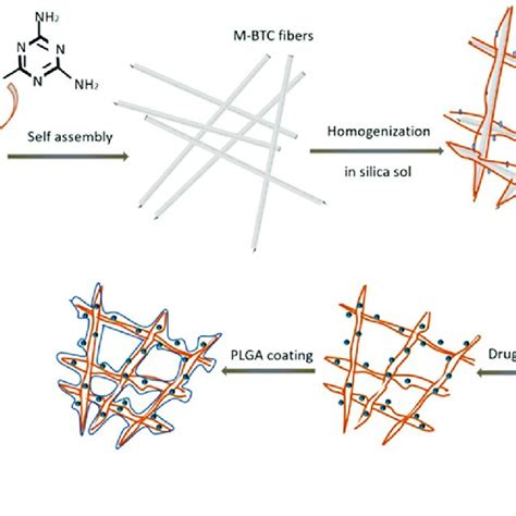 Scheme 1 Schematic Illustration Presenting Preparation Of Plga Coated