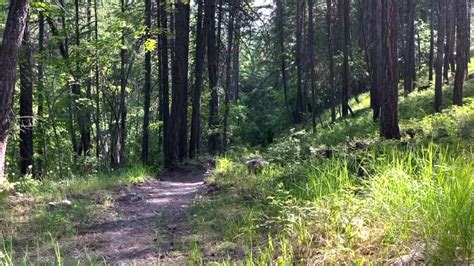 New Community Trail System Near Bigfork Under Construction