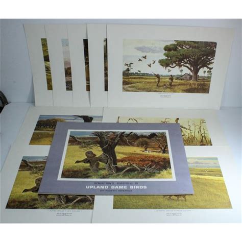Remingtons Upland Game Birds North America Portfolio