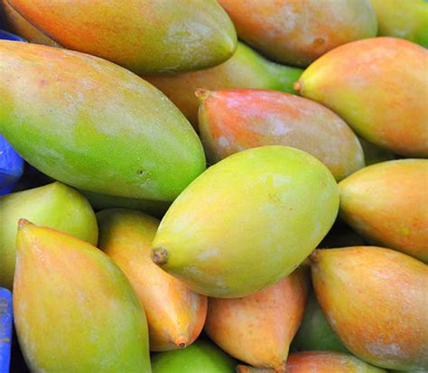 10 Popular Indian Mango Varieties