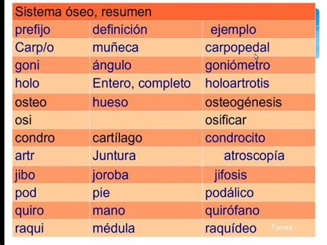 Terminolog A Por Aparatos Y Sistemas Prefijos Y Sufijos Ppt