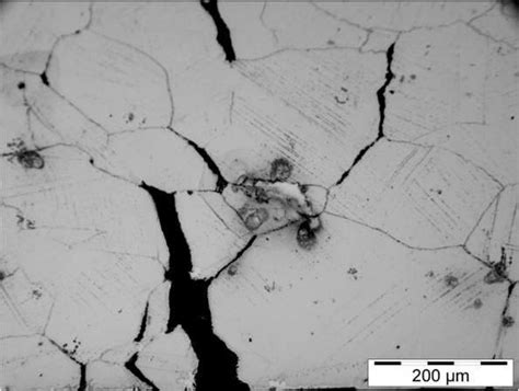 A Optical Micrograph 1cm Behind The Fracture Surface B Sem