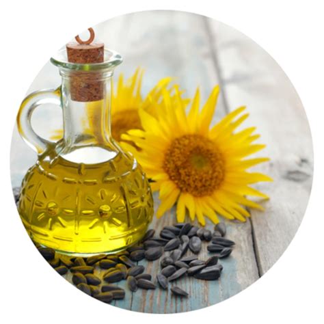 Sunflower Oil Saavayava
