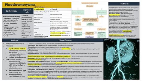 Brown Journal of Hospital Medicine on Twitter: "Pheochromocytomas #BJHM ...