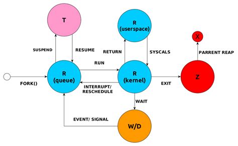 Load Average Process States On Linux And Some Loadavg Myths Eurolinux