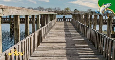 8 Best Fishing Piers In Savannah Captain Dixon