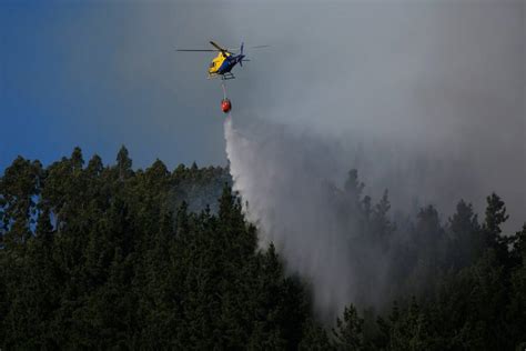 Senapred decretó alerta roja en Hijuelas por incendio forestal